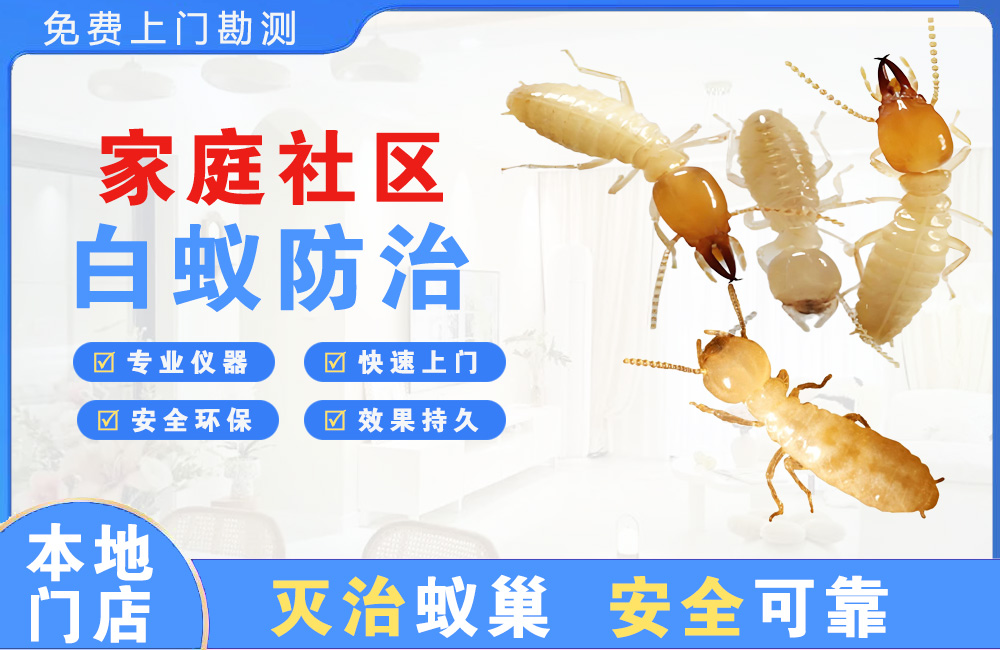 泰兴家庭社区白蚁防治