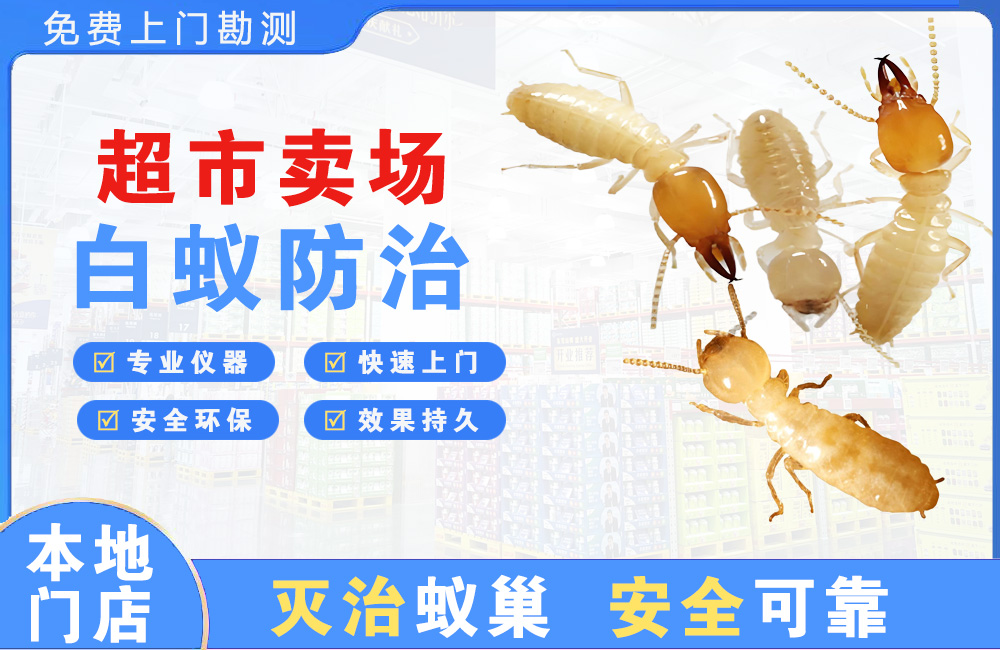 泰兴超市卖场白蚁防治