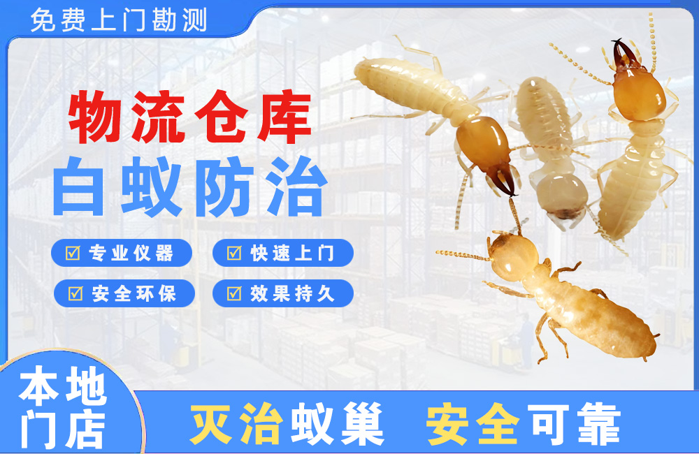 泰兴物流仓库白蚁防治