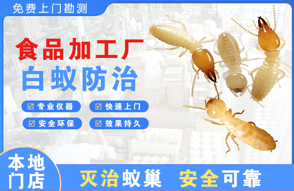 泰兴食品加工厂白蚁防治