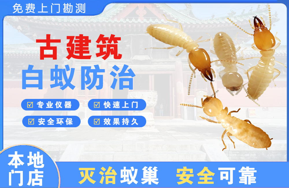 泰兴古建筑白蚁防治