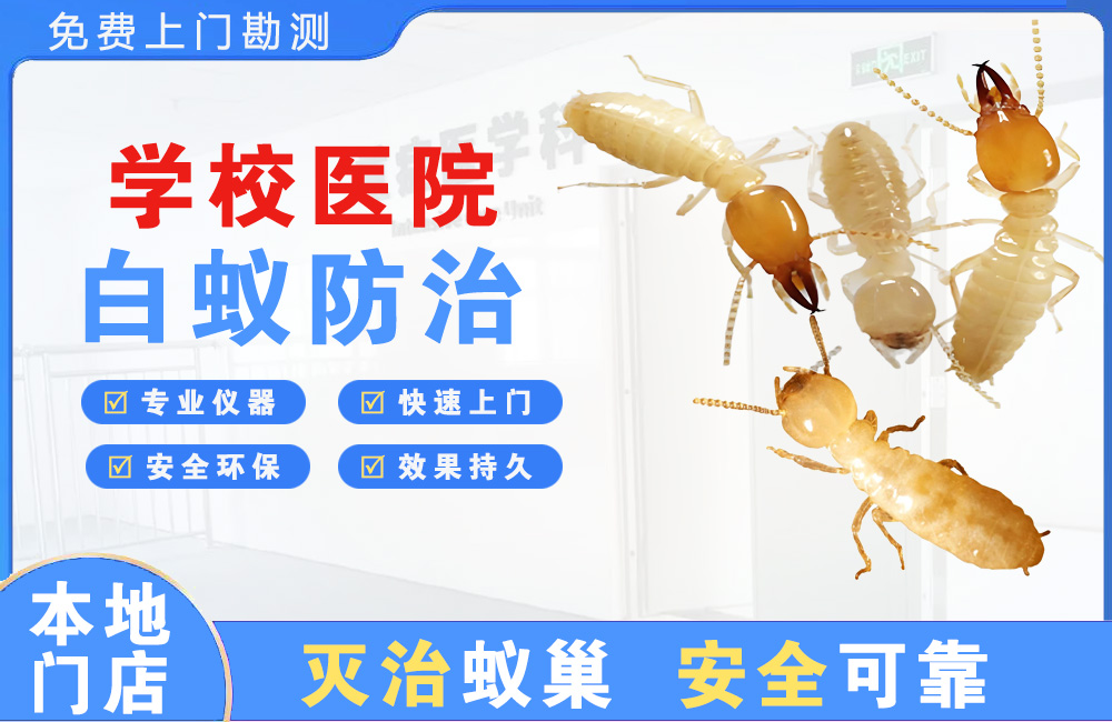 泰兴学校医院白蚁防治
