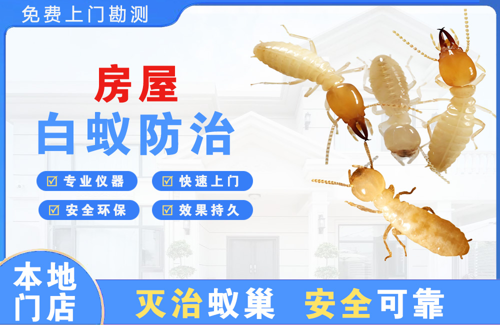 泰兴房屋白蚁防治