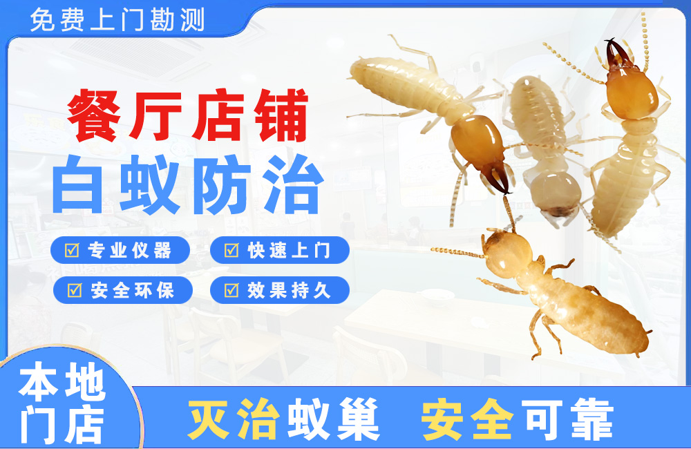 泰兴餐厅店铺白蚁防治